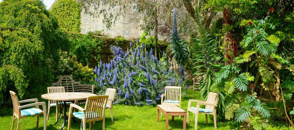 Logis Hotel Les Fuchsias Saint-Vaast-la-Hougue Ngoại thất bức ảnh