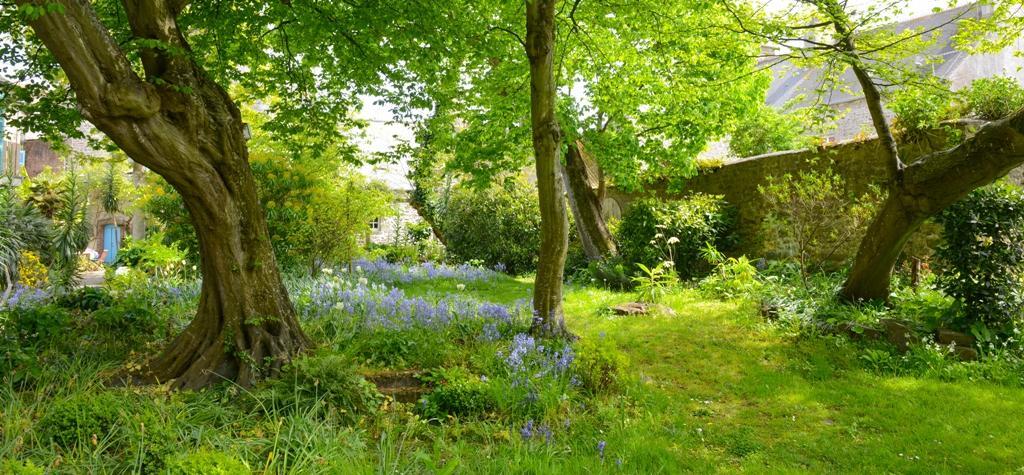Logis Hotel Les Fuchsias Saint-Vaast-la-Hougue Ngoại thất bức ảnh